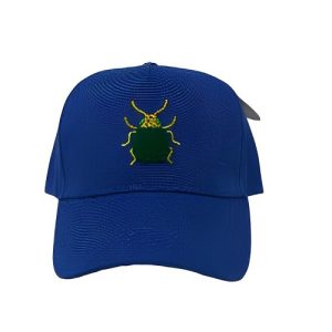 Brightstar Kids Hat / Face Cap – Blue Bug -Size 4-6x