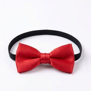 Boys Classic Bow Tie – Red
