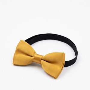 Boys Classic Bow Tie – Gold